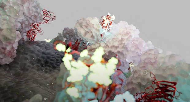 Scientific Visualization