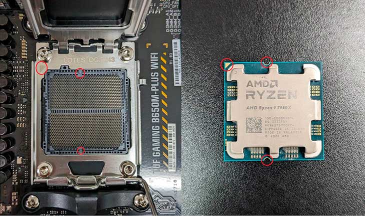 AM5 Socket and AMD Ryzen CPU